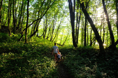 Litter Cleanup: Why Picking up Trash on the Trail Matters